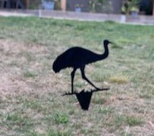 Emu Garden Art